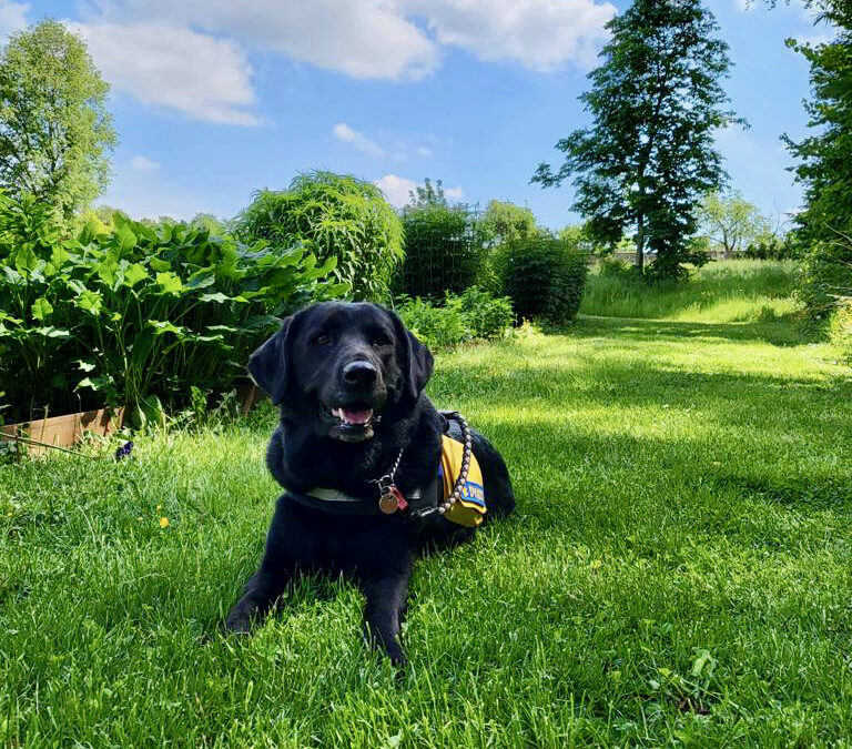 Liesbeths getuigenis, hoe het leven soms onverwachte wendingen neemt 